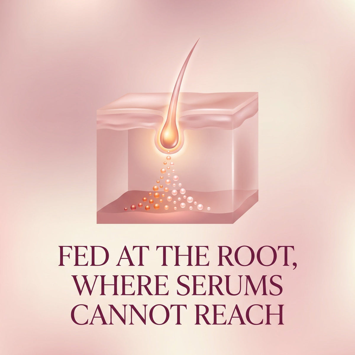 Illustration of a hair follicle being fed nutrients at the root, where serums cannot reach