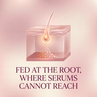 Illustration of a hair follicle being fed nutrients at the root, where serums cannot reach