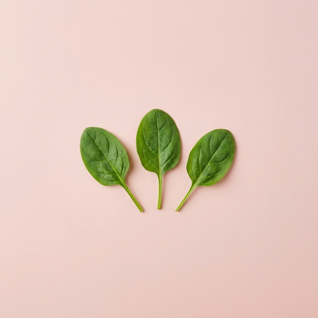 Folate, shown with spinach leaves